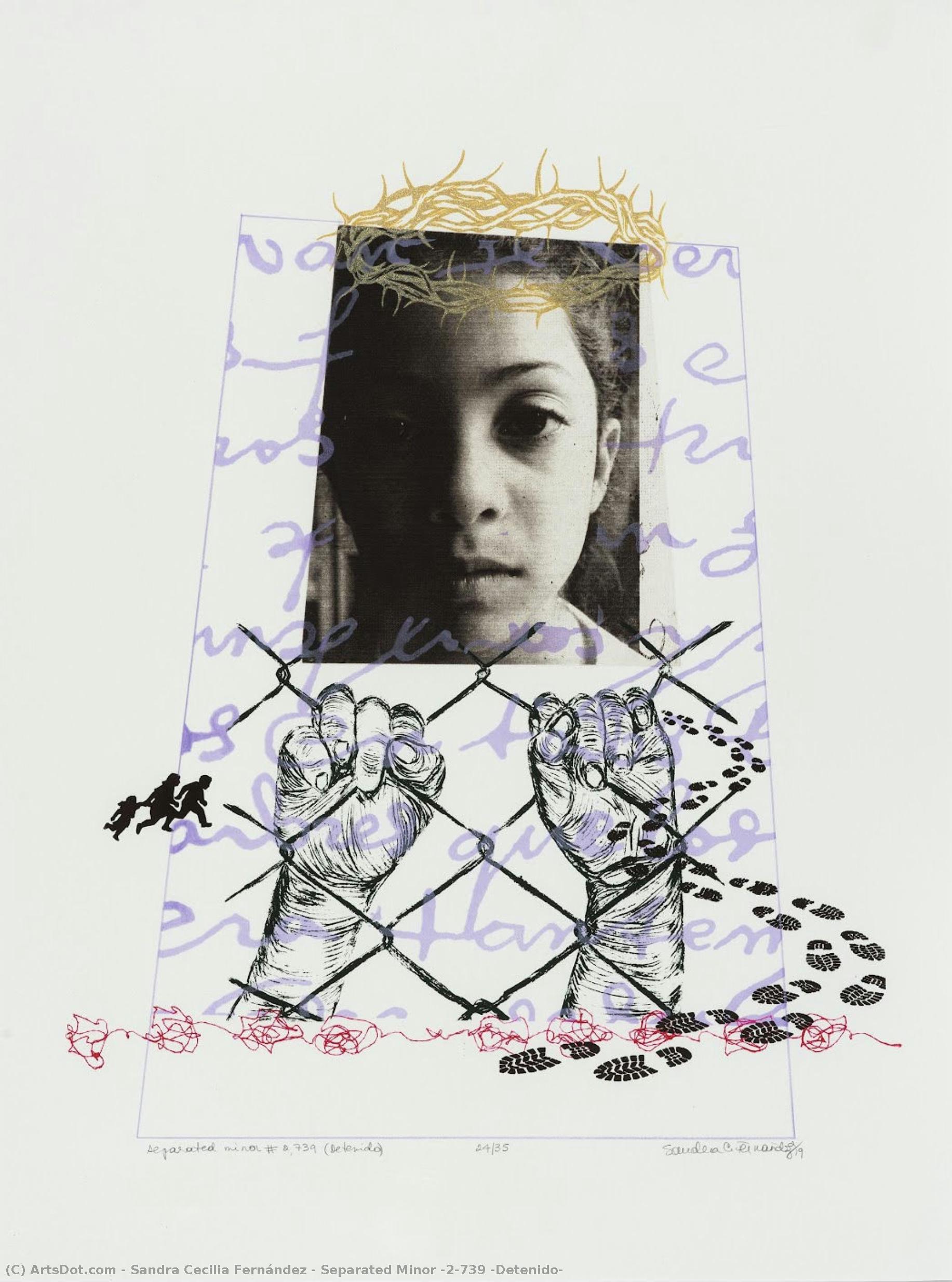 Separated Minor #2,739 (detenido) — Sandra Cecilia Fernández