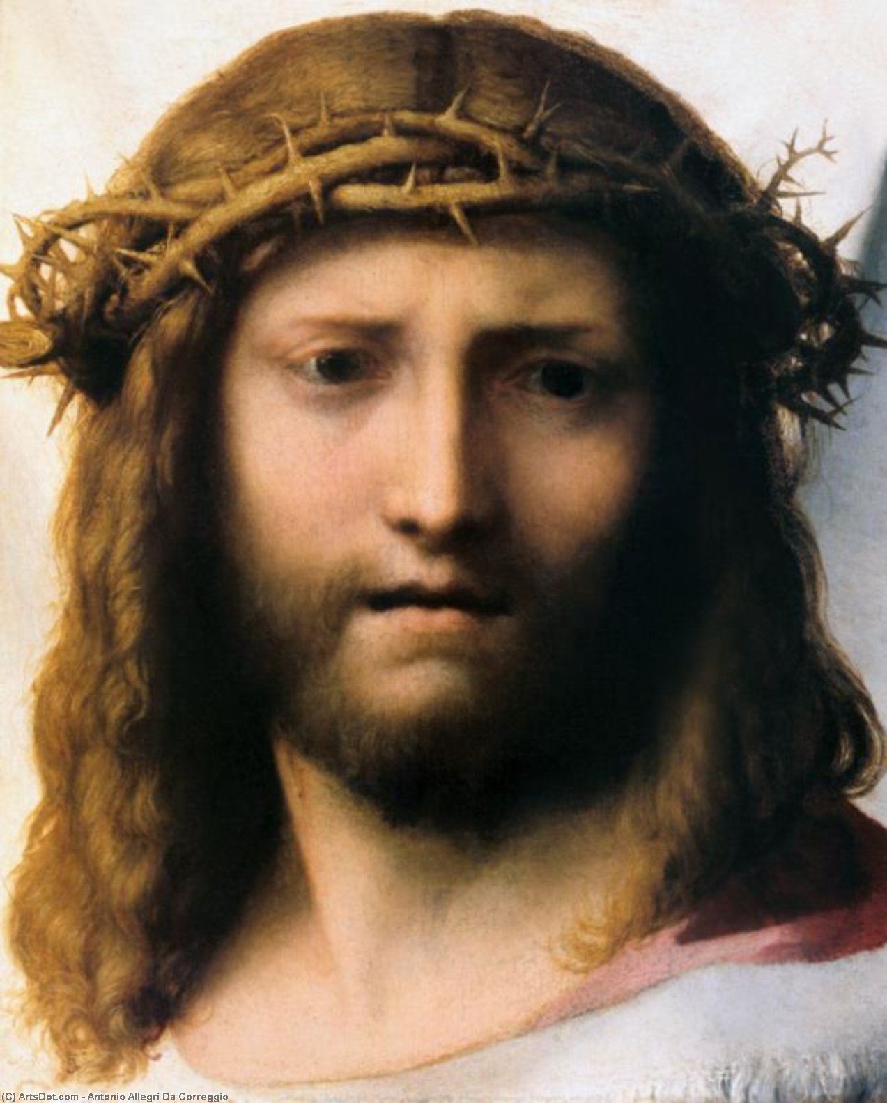 Head Of Christ — Antonio Allegri Da Correggio