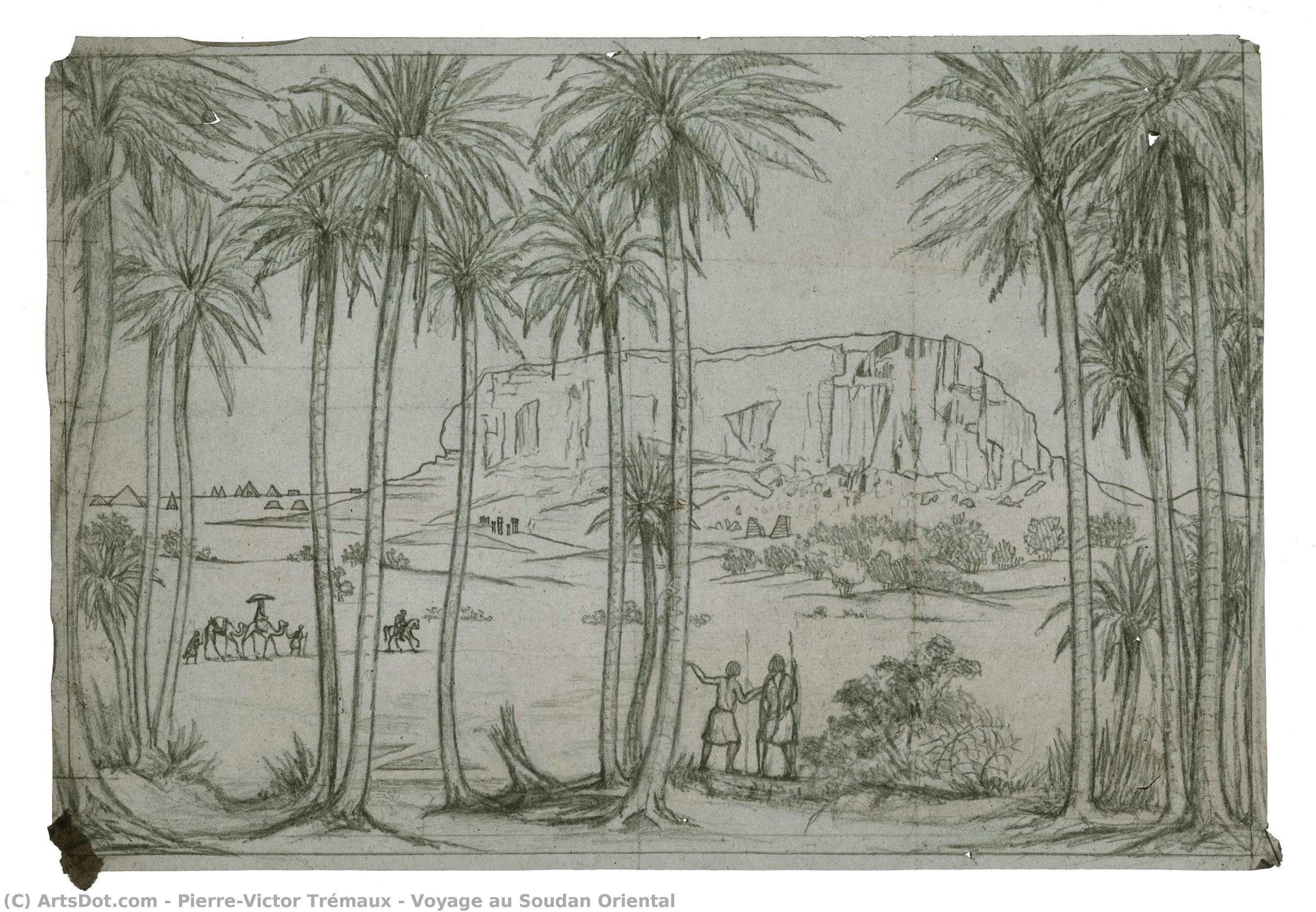 Voyage Au Soudan Oriental — Pierre-victor Trémaux