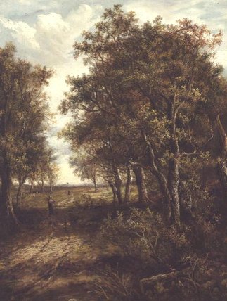 A Clearing In The Woods — Joseph Thors