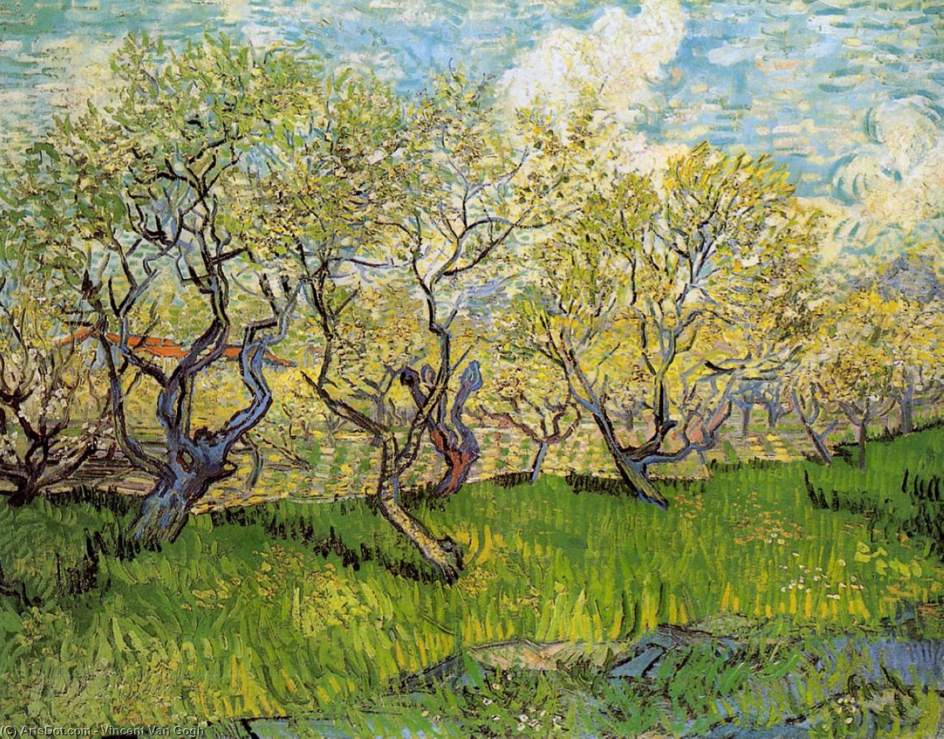 Orchard In Blossom — Vincent Willem Van Gogh