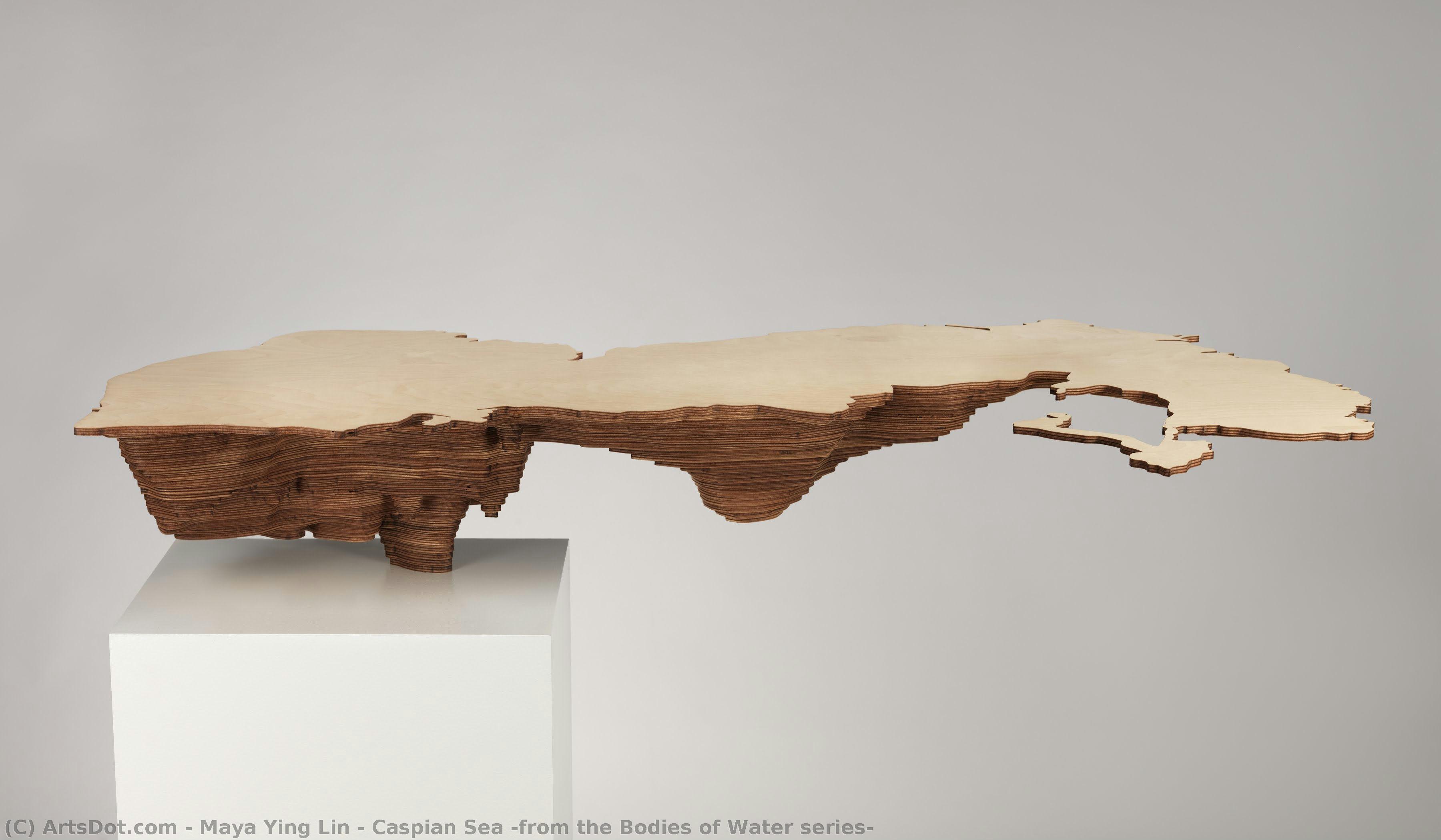 Caspian Sea (from The Bodies Of Water Series) — Maya Ying Lin
