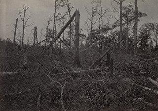 The Hell Hole, Battlefield Of New Hope Church From The Album Photographic Views Of Sherman's Campaign — George Grey Barnard