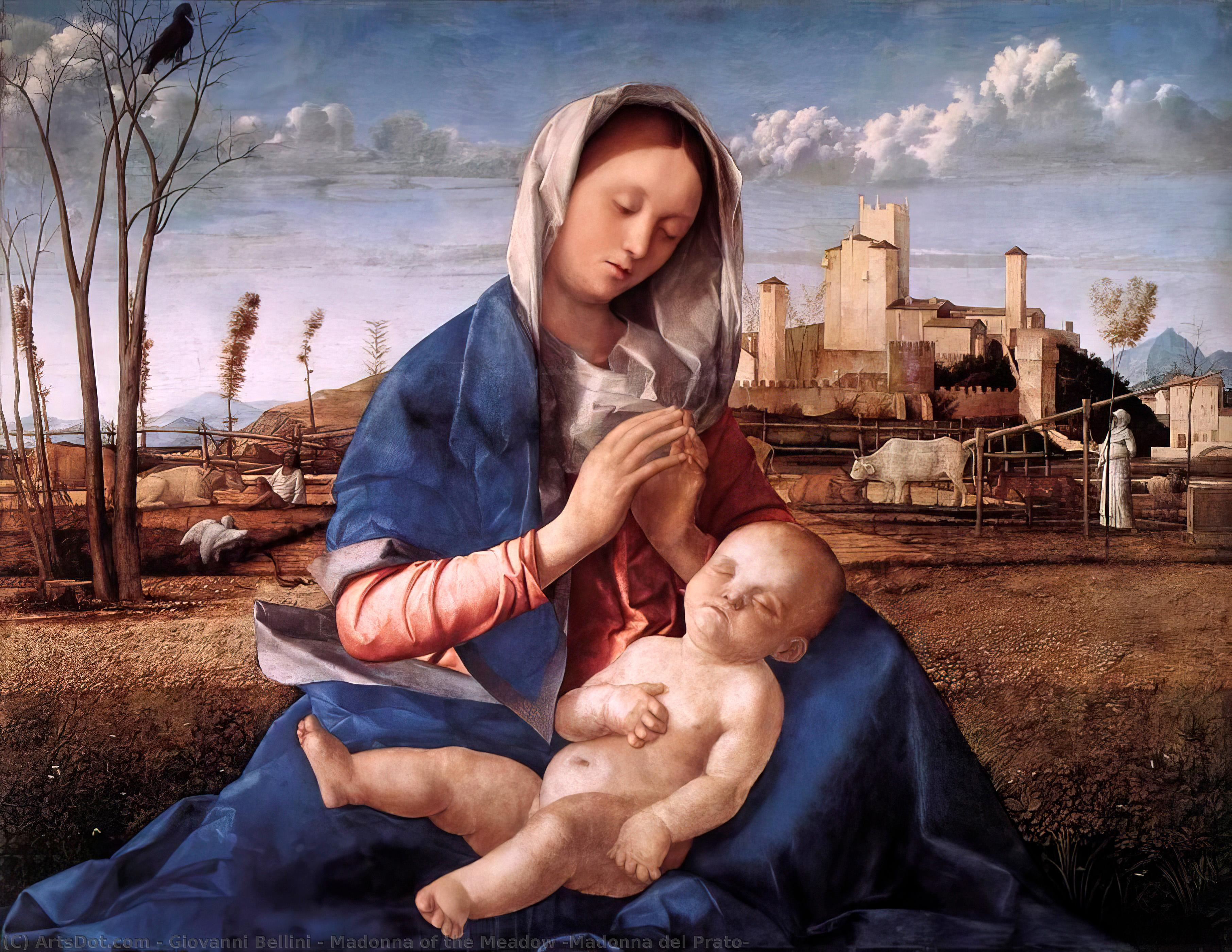 La Virgen De La Pradera (madonna Del Prato) — Giovanni Bellini