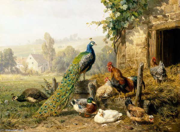 Chicken Run With Peacock — Carl Jutz