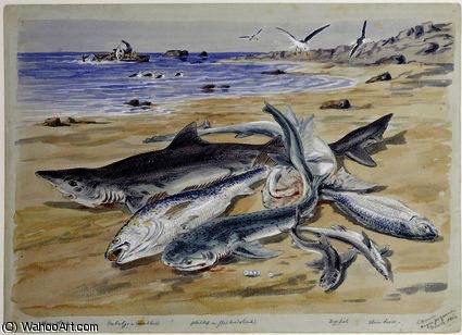 Several Sharks On The Beach At Angra Peguena — Thomas Baines