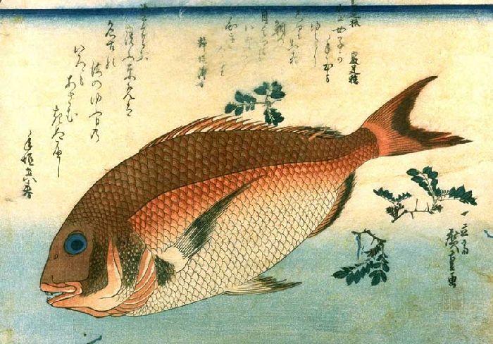 Red Sea-bream — Андро Хиросиге