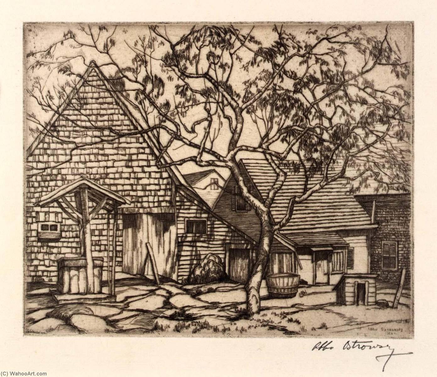 Groundnut Hill — Abbo Ostrowsky