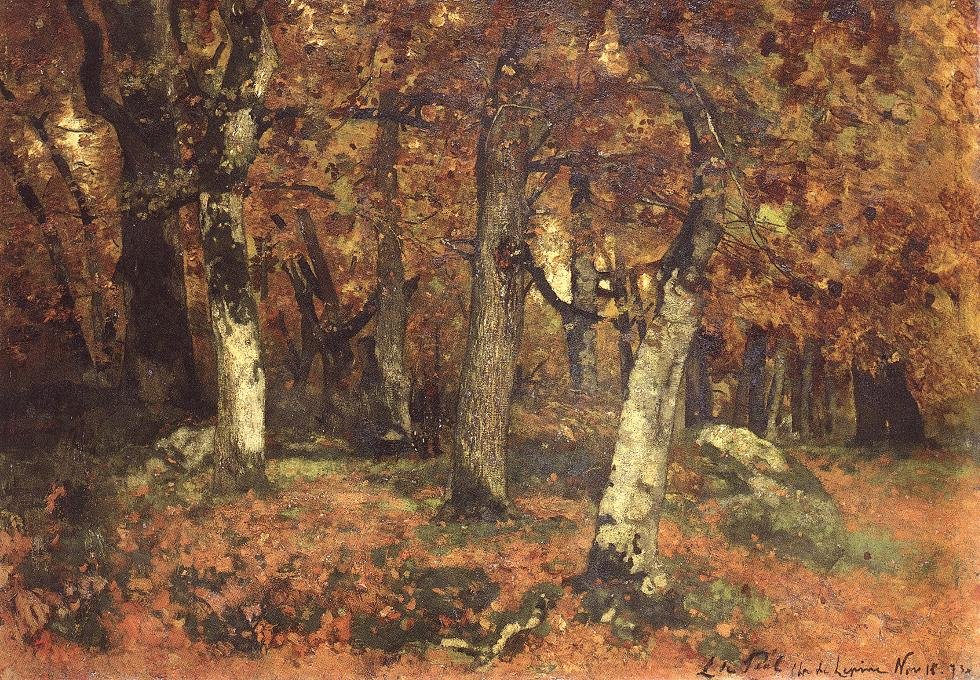 The Depth Of The Forest — László Paal