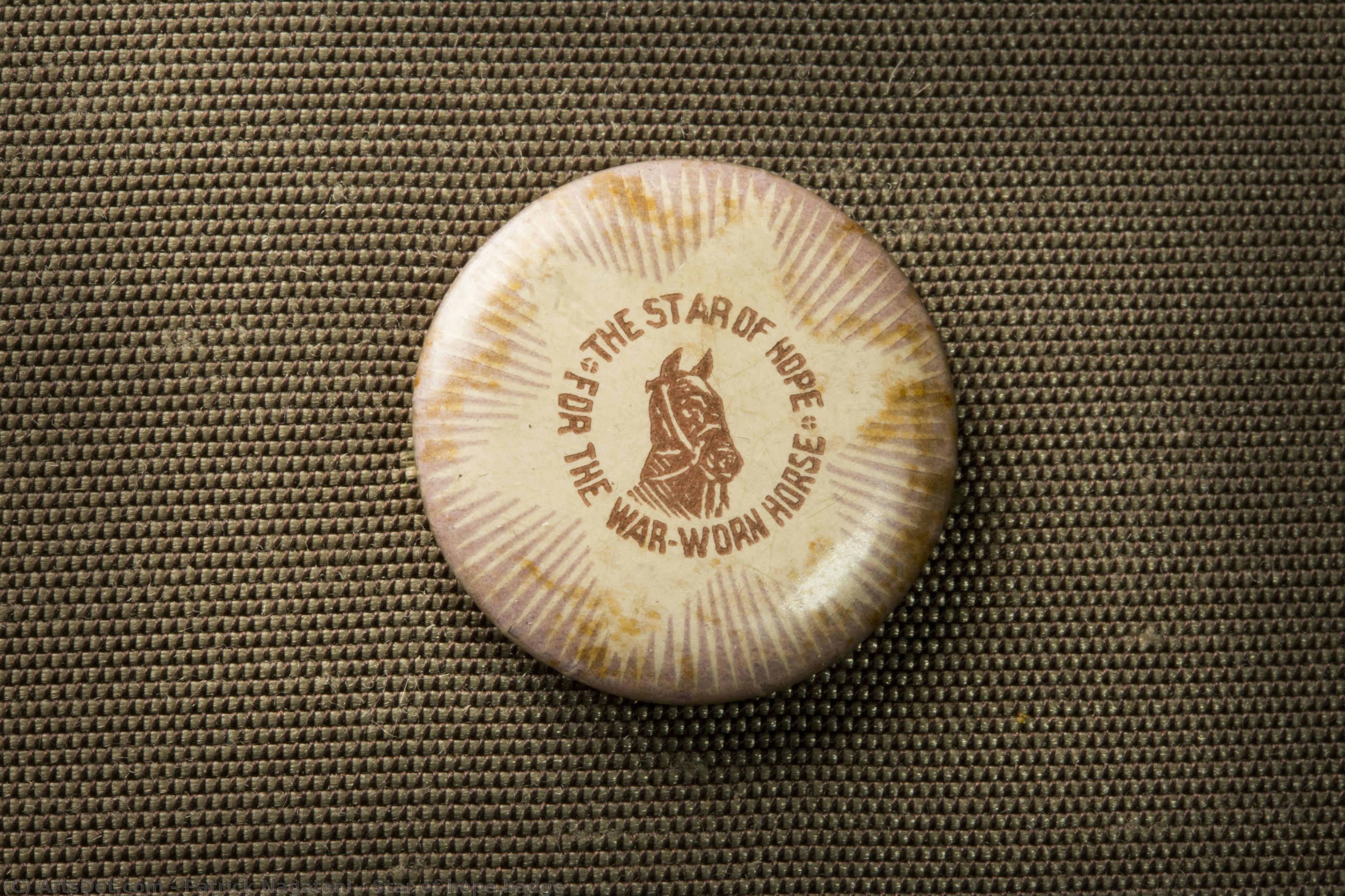 Star Of Hope Badge — Patrick Nagatani