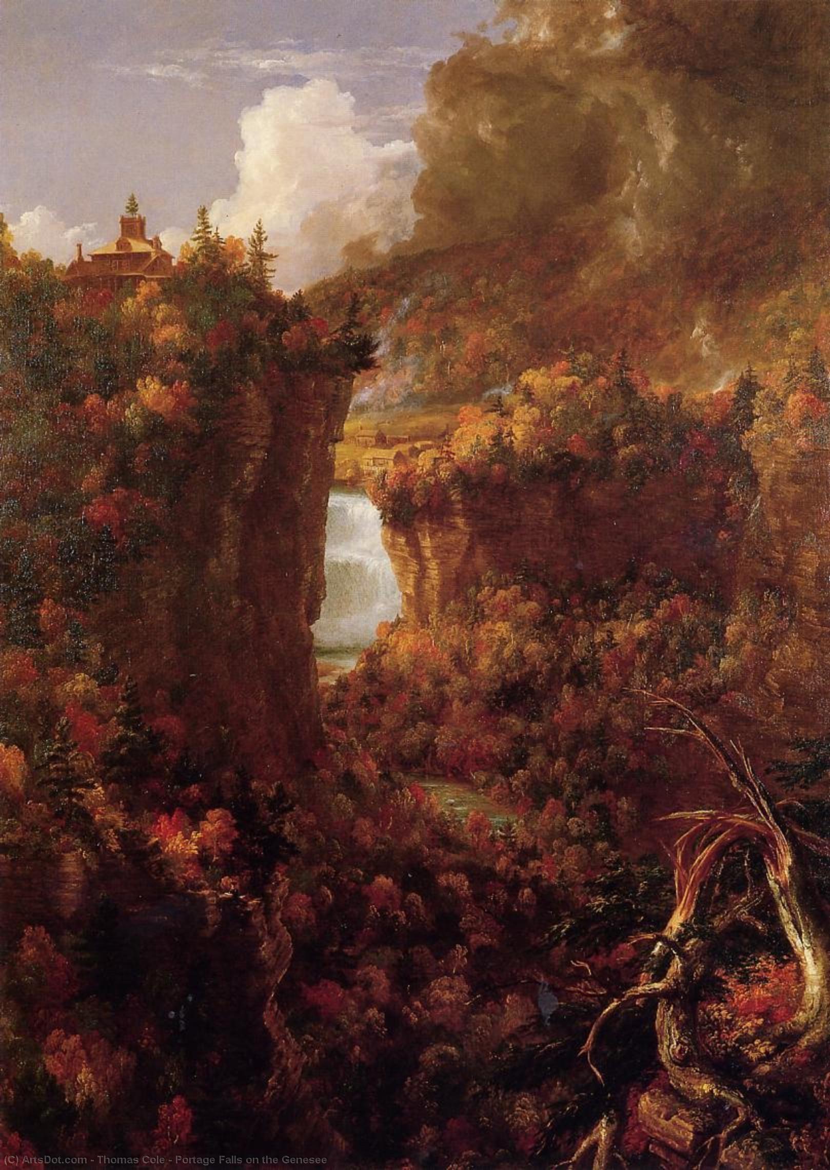 Portage Falls On The Genesee — Томас Коул