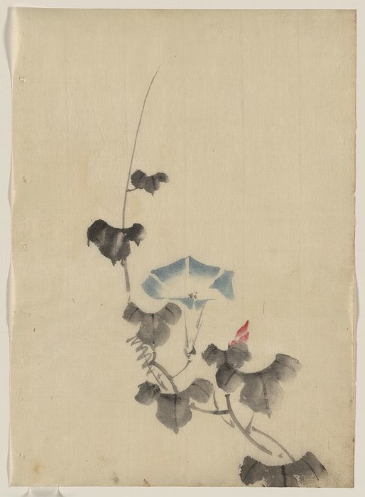 Blue Blossom Of Morning Glory On Vine — Katsushika Hokusai
