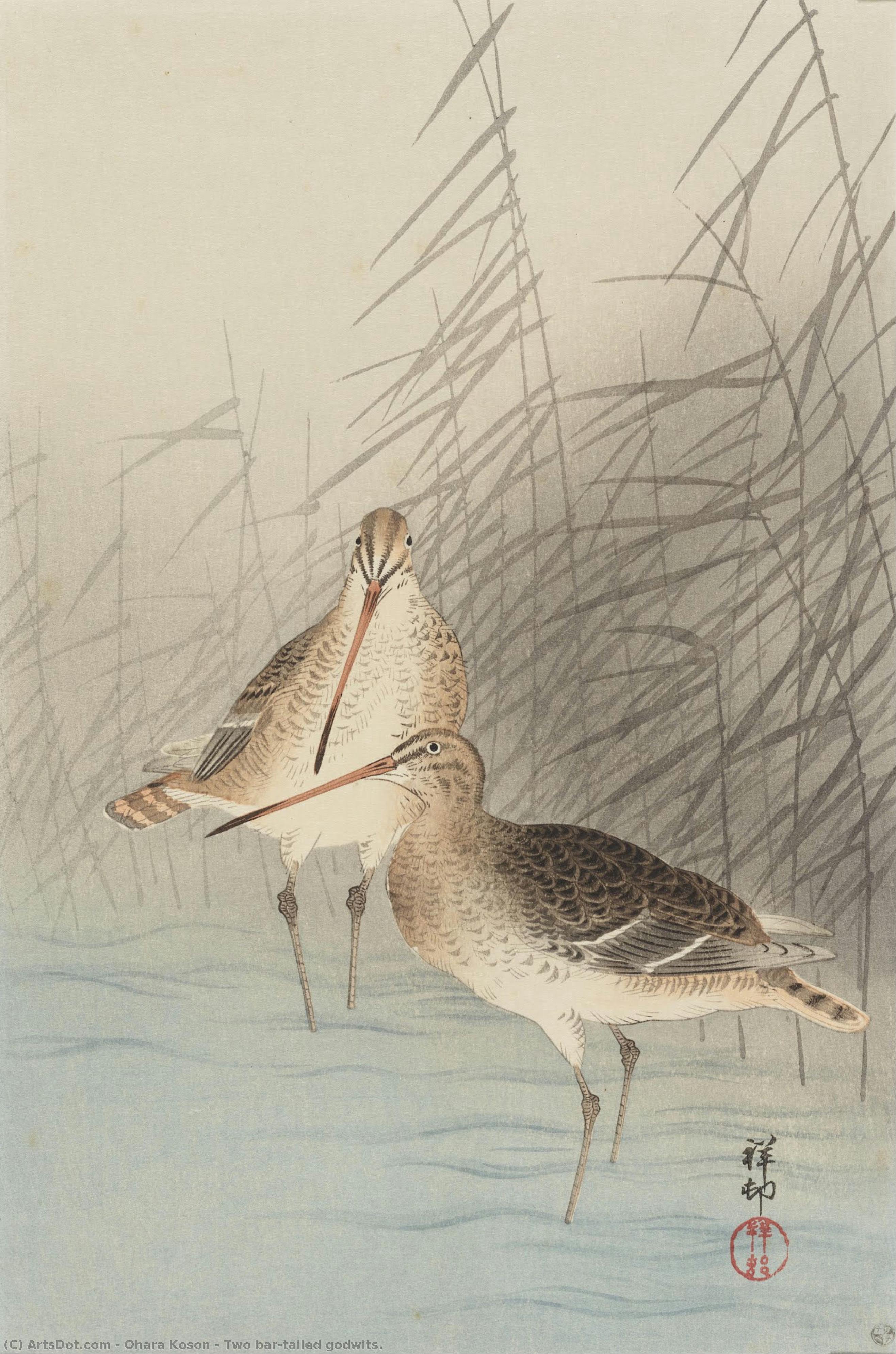 Two Bar-tailed Godwits. — Ohara Koson