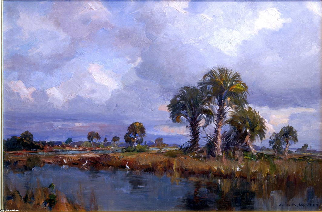 Florida Skies Over The Everglades — Emile Albert Gruppé