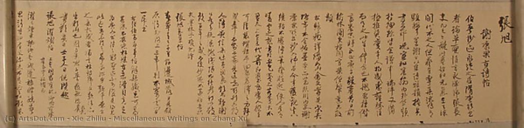 Miscellaneous Writings On Zhang Xu — Xie Zhiliu