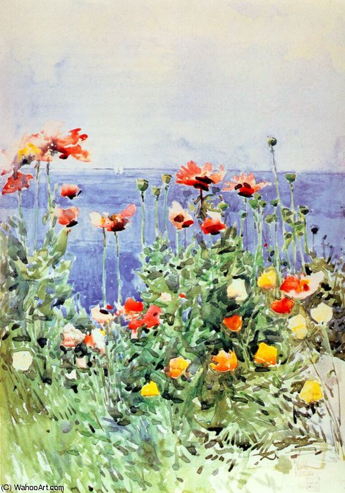 Poppies, Isles Of Shoals — Frederick Childe Hassam