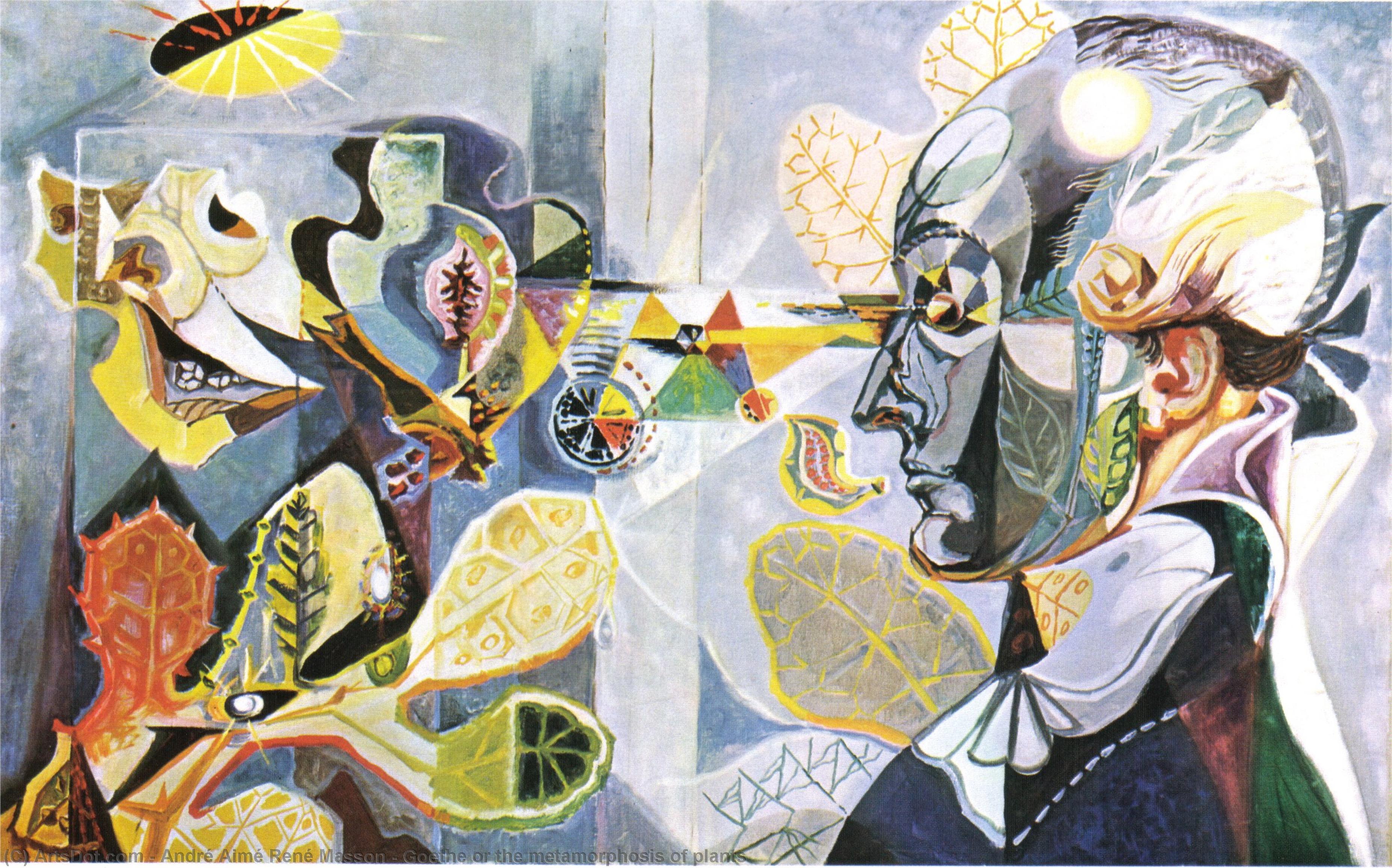 Goethe Or The Metamorphosis Of Plants — André Masson
