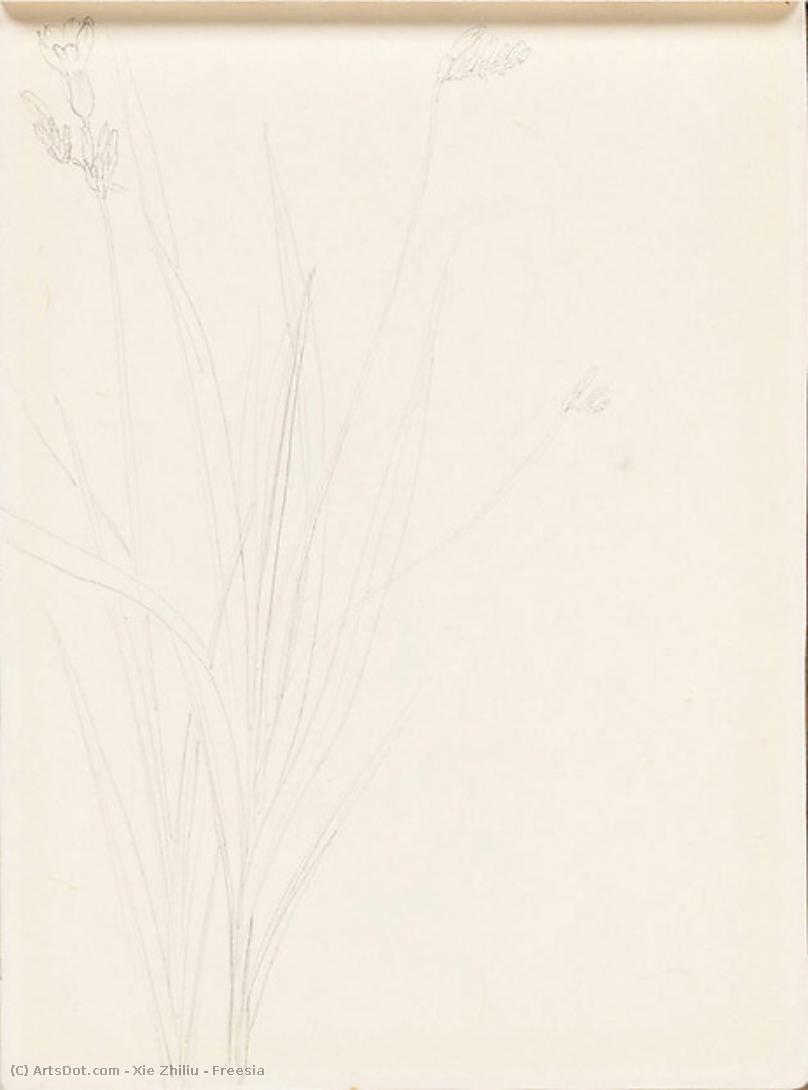 Freesia — Xie Zhiliu