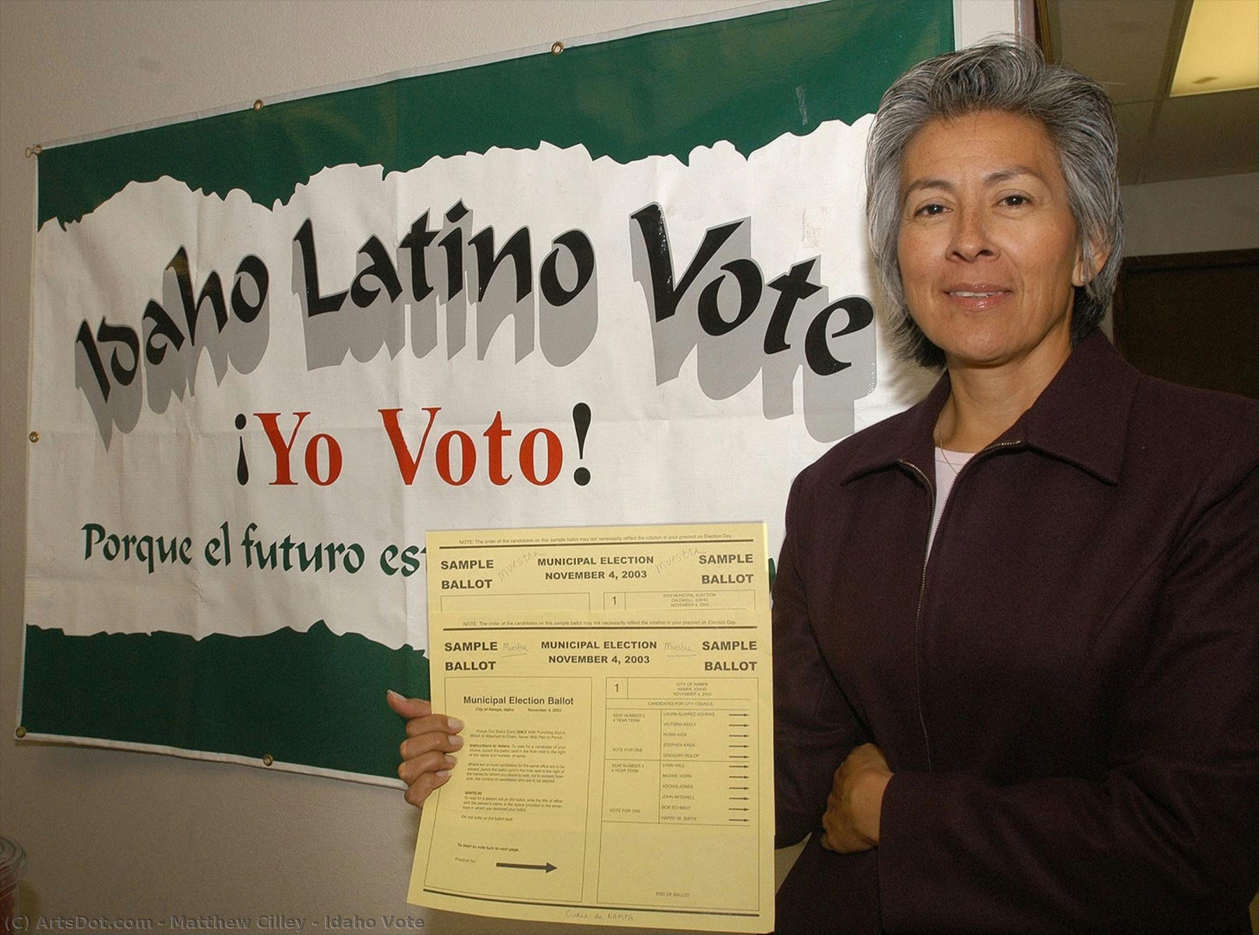 Idaho Vote — Matthew Cilley