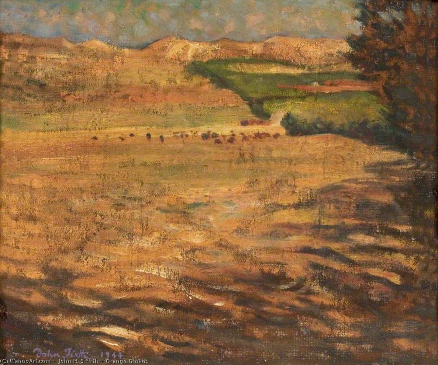Orange Groves — John H. S Firth