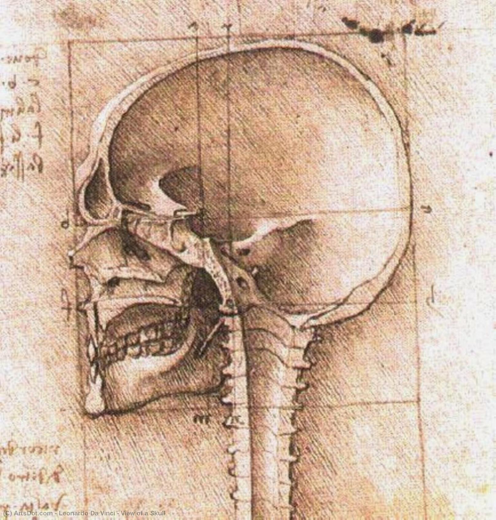 View Of A Skull — Leonardo Da Vinci