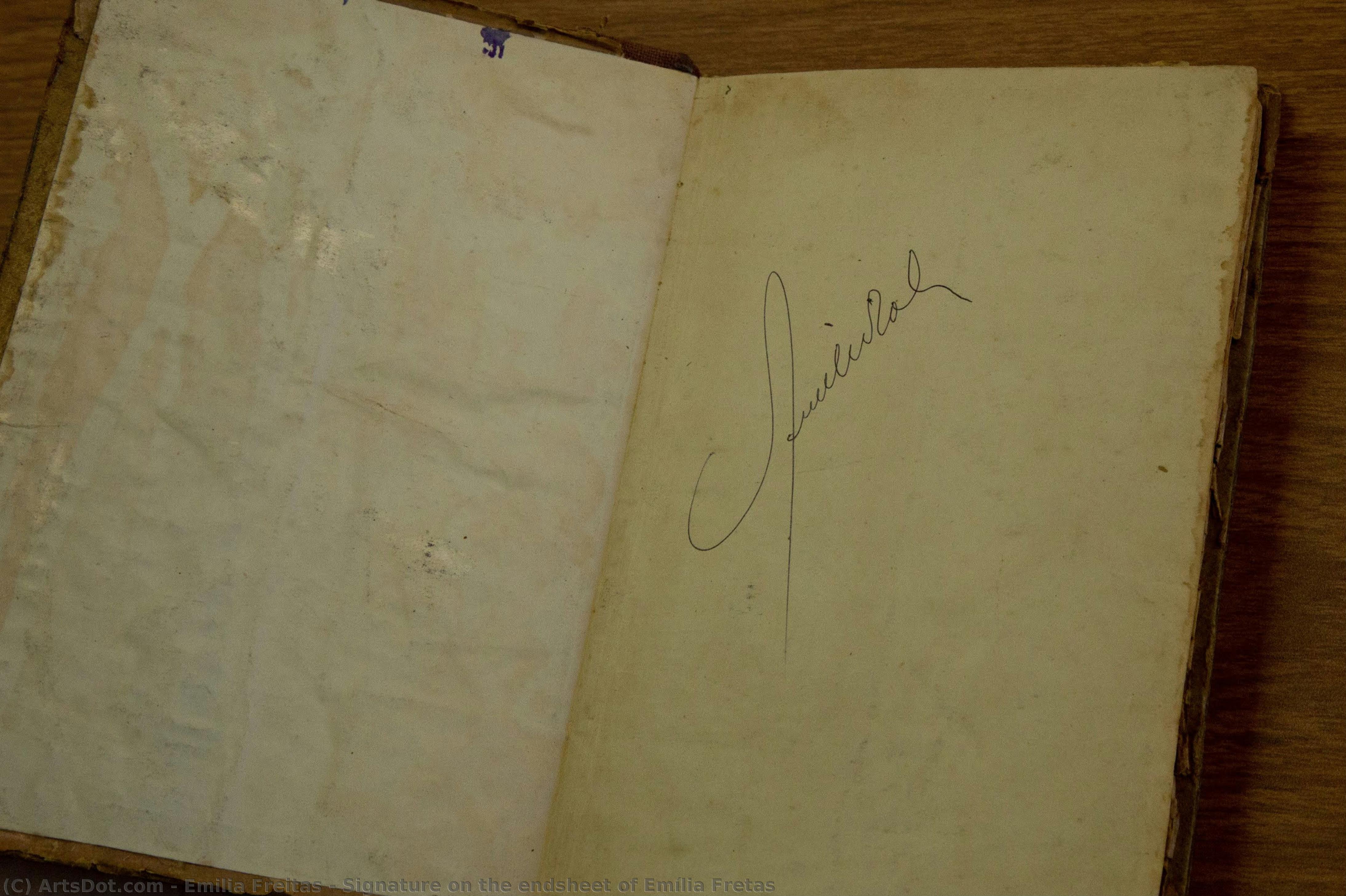 Signature On The Endsheet Of Emília Fretas — Emília Freitas