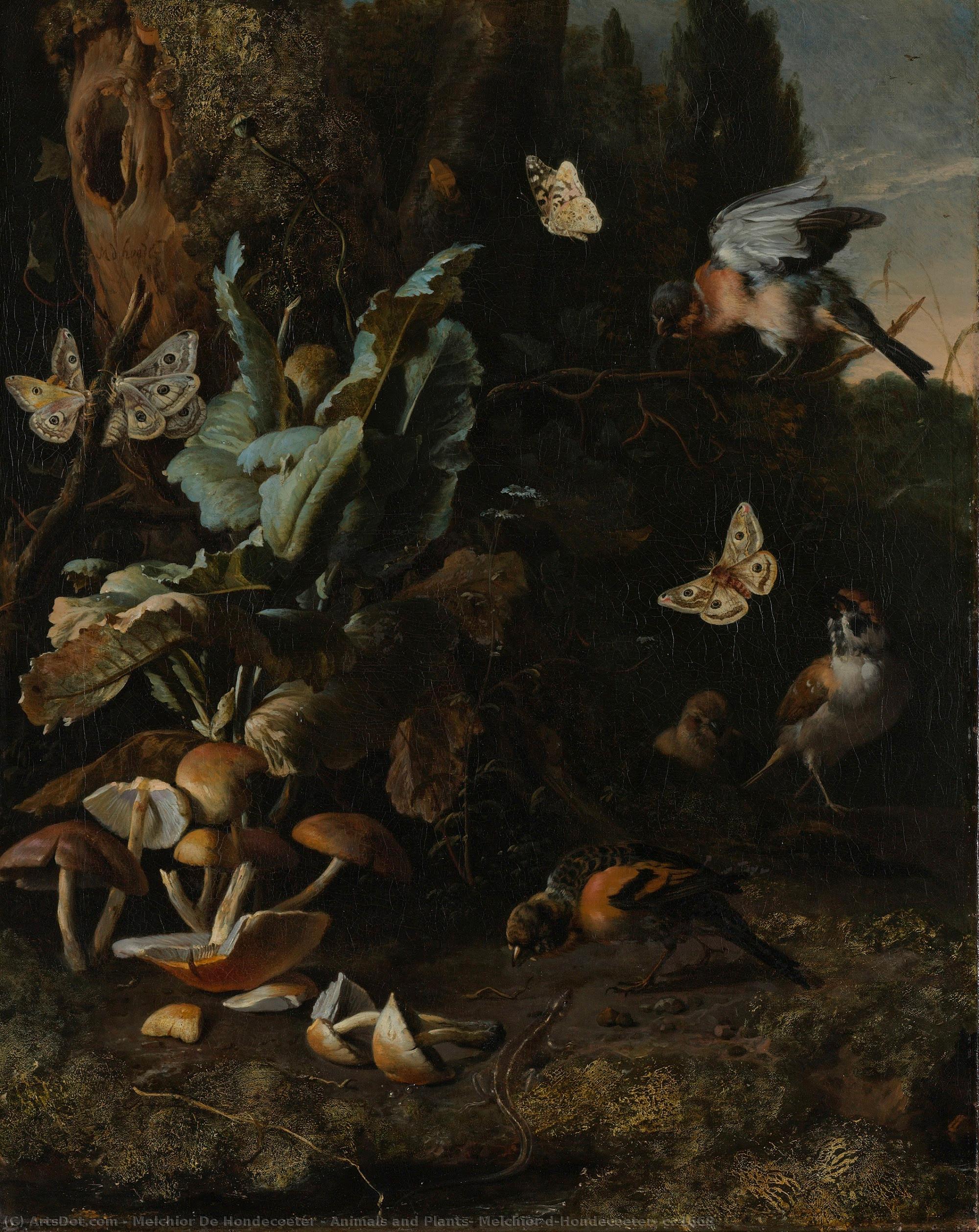 Animals And Plants, Melchior D"hondecoeter, C. 1668 — Melchior De Hondecoeter
