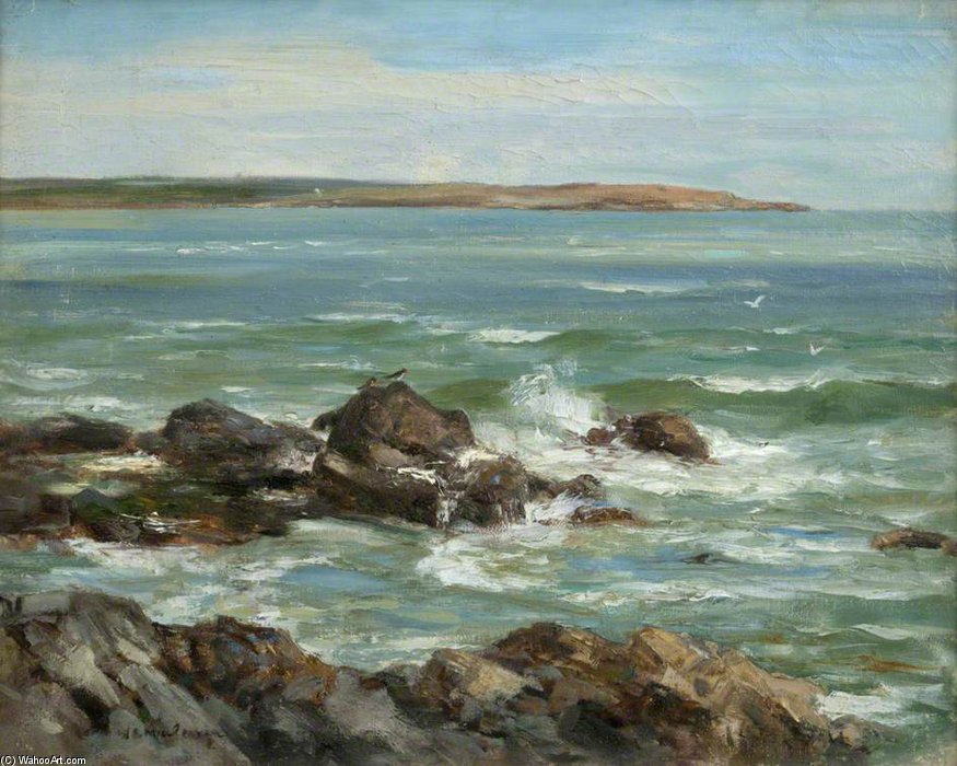 On The Solway, With Oyster Catchers — William Stewart Macgeorge