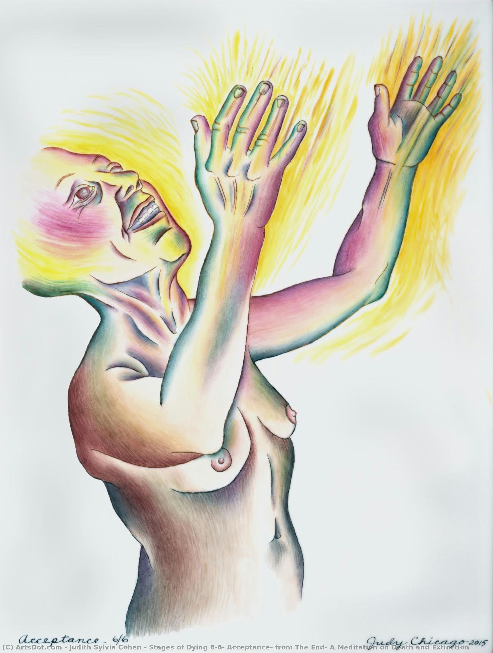 Stages Of Dying 6/6: Acceptance, From The End: A Meditation On Death And Extinction — Judith Sylvia Cohen