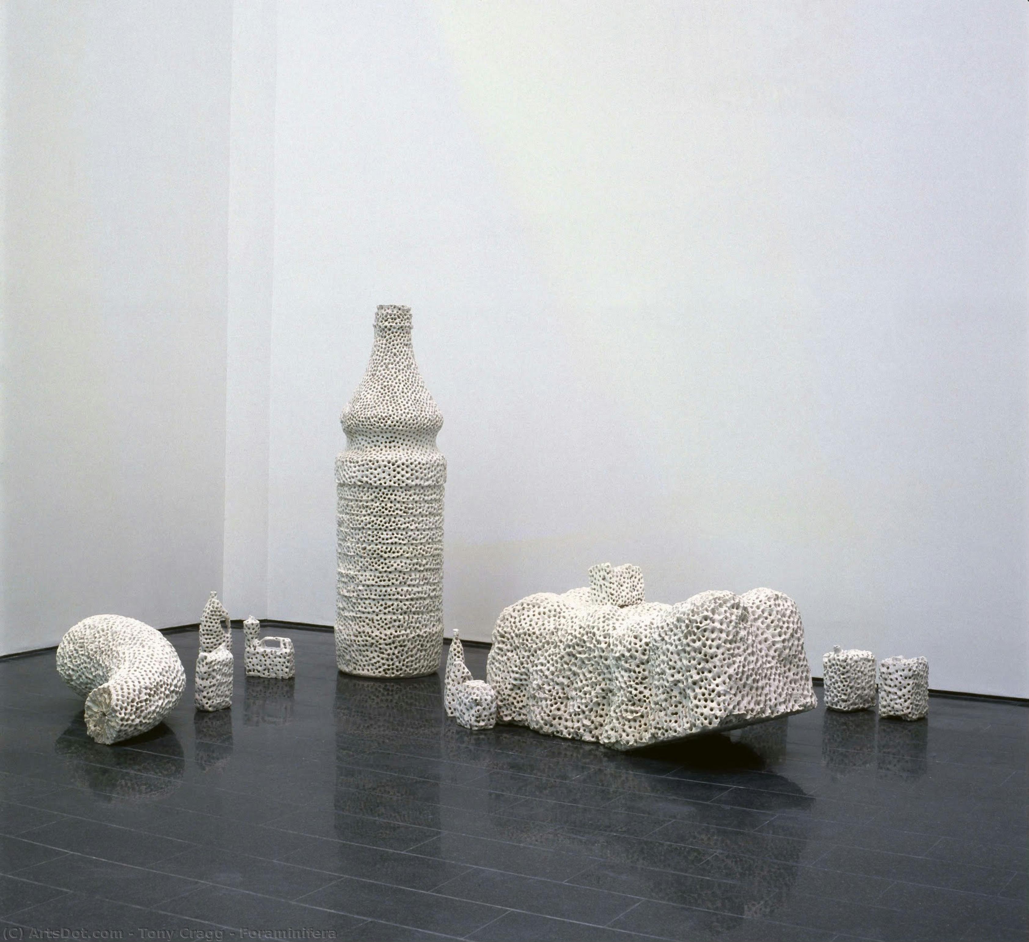 Foraminifera — Tony Cragg