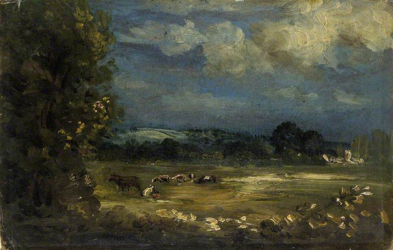 Britford Vale Water Meadows — David Charles Read