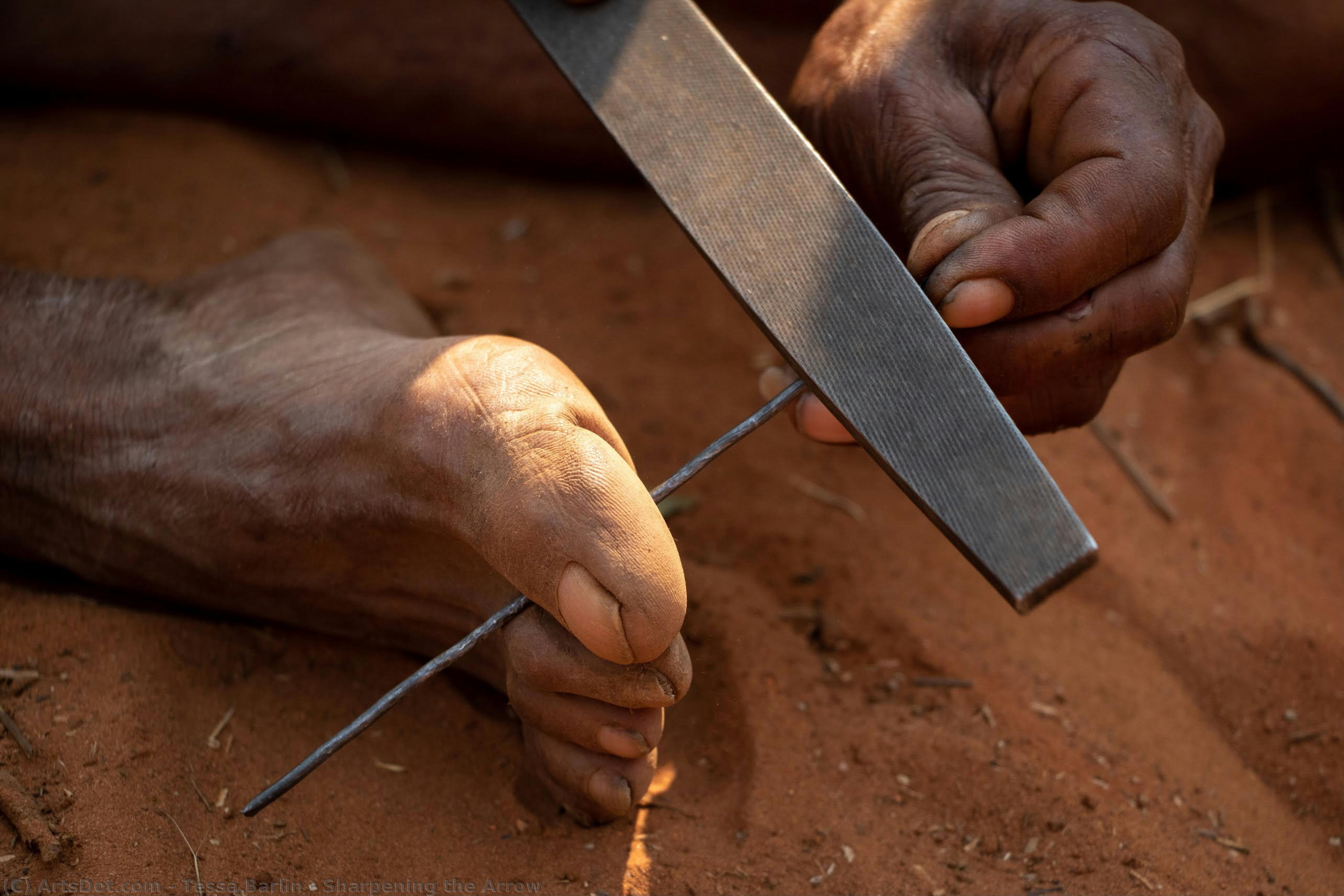 Sharpening The Arrow — Tesa Barlin