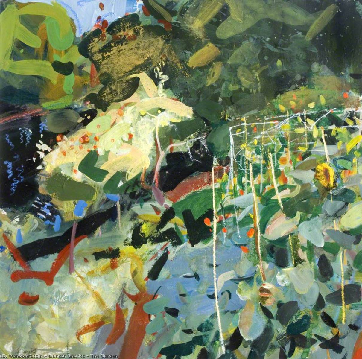 The Garden — Duncan Shanks