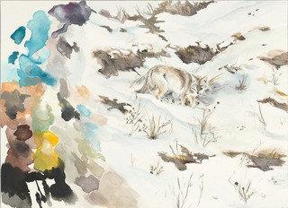 Coyote — Violet Hopkins