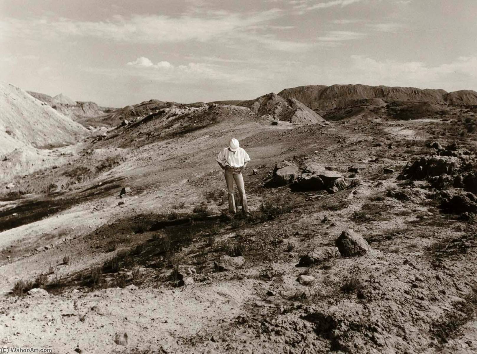 Blm Brochure, From The Wyoming Documentary Survey Project — Penny Diane Wolin