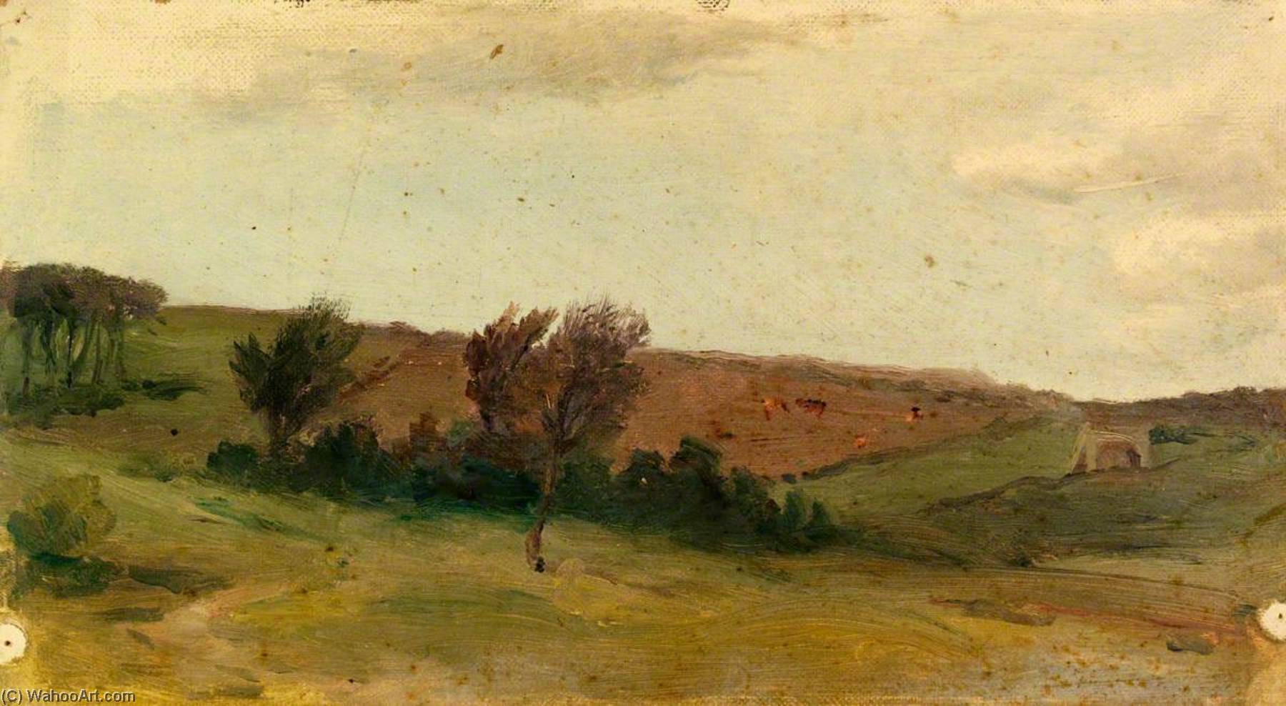Trees In A Landscape — Sarah A Doidge