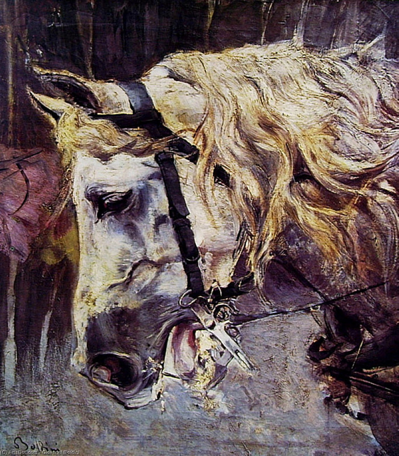 The Head Of A Horse — Giovanni Boldini
