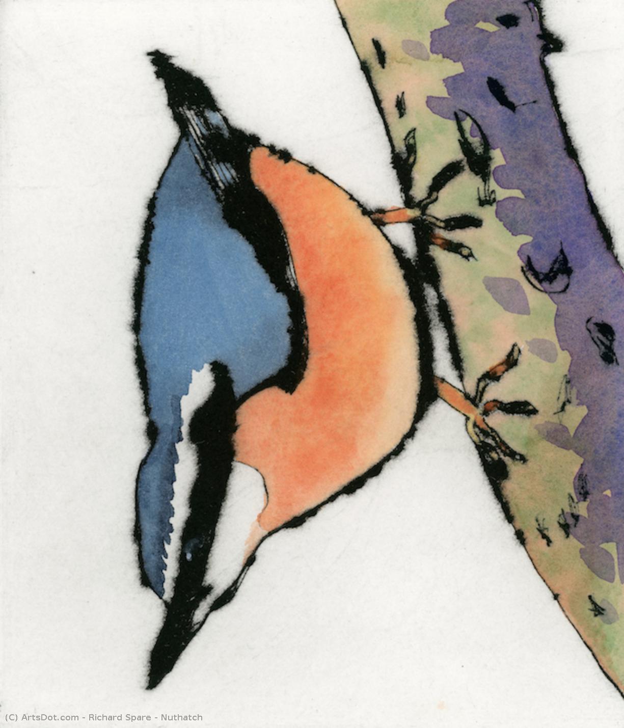 Nuthatch — Richard John Spare
