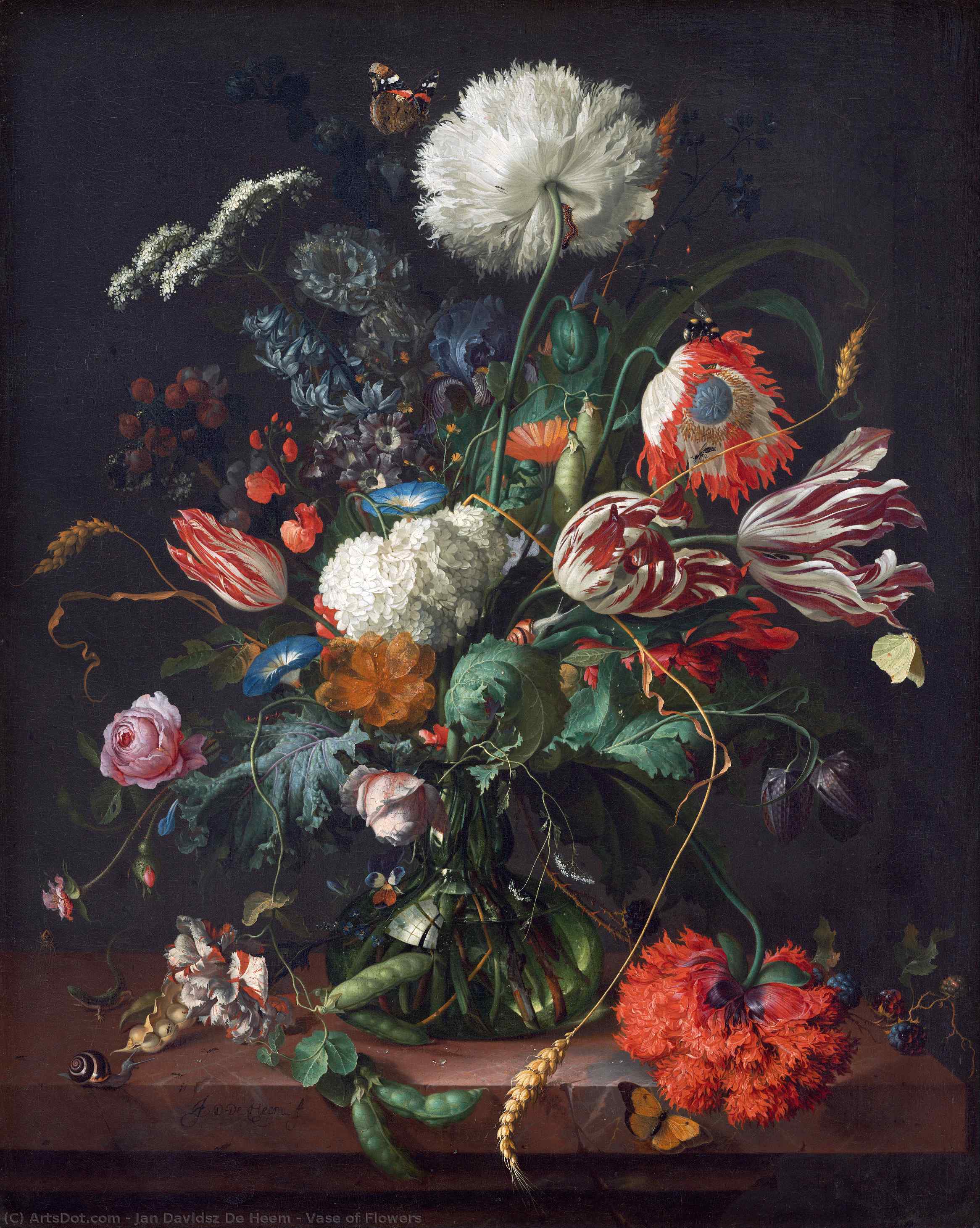 Vase Of Flowers — Jan Davidszoon De Heem Or Johannes De Heem Or Johannes Van Antwerpen Or Jan Davidsz De Hem