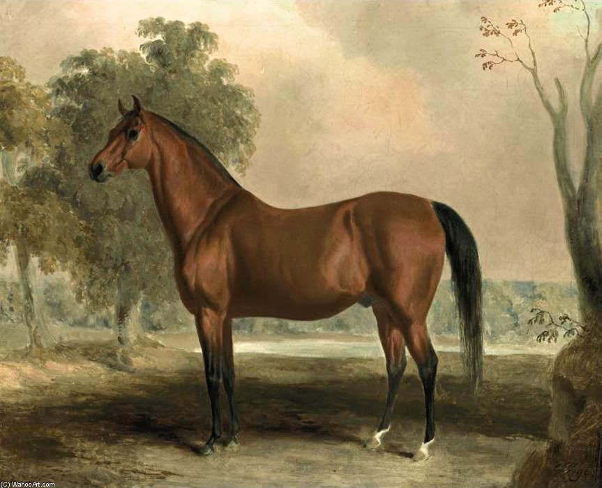 Bertrand, By Sir Archy — Edward Troye
