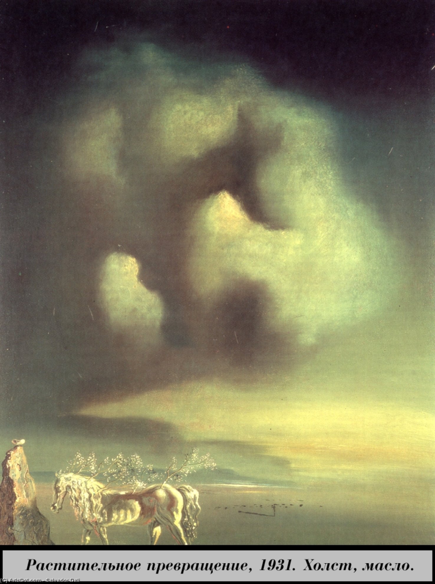 Plant Transformation — Salvador Dalí