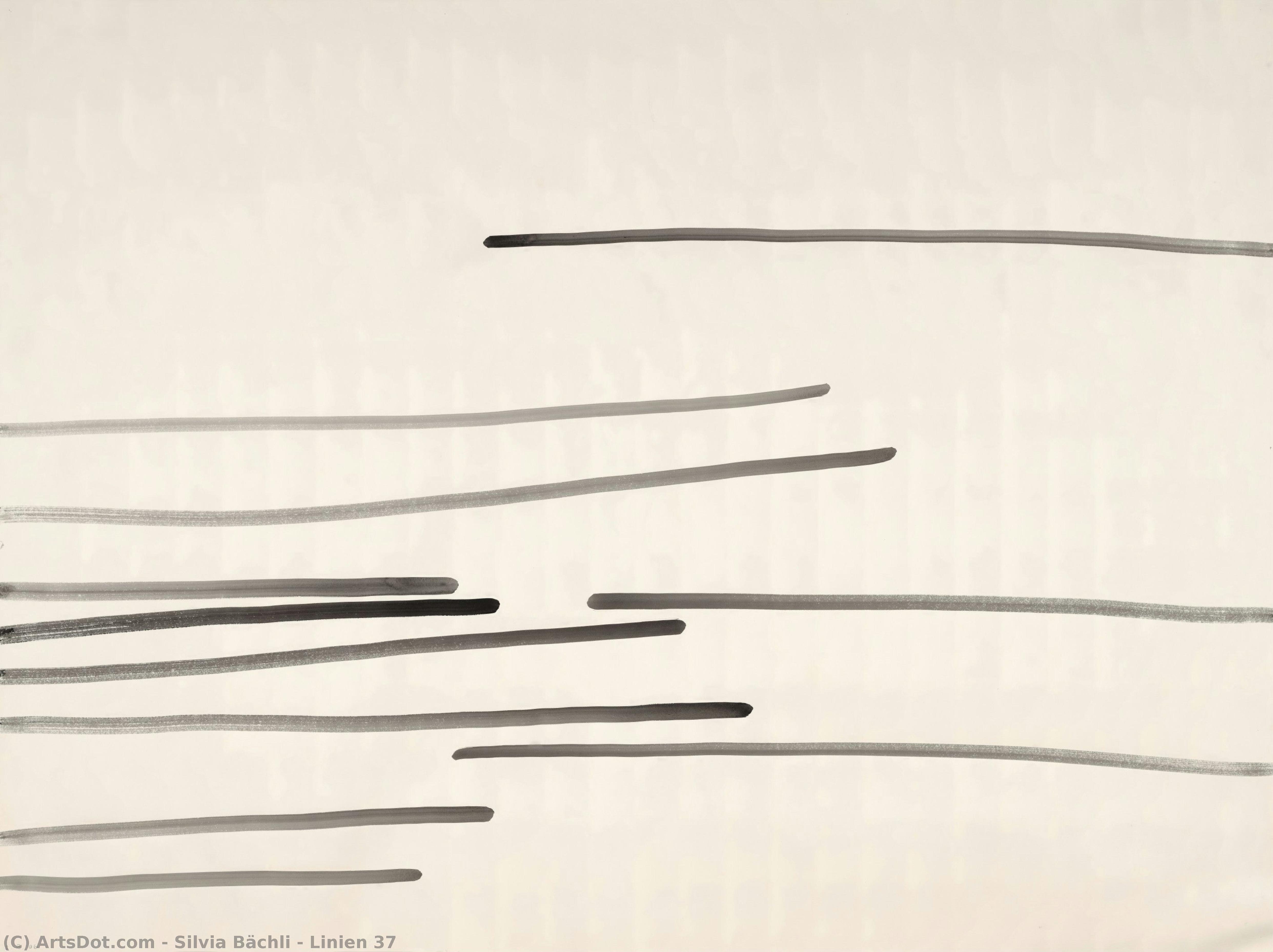 Linien 37 — Silvia Bächli