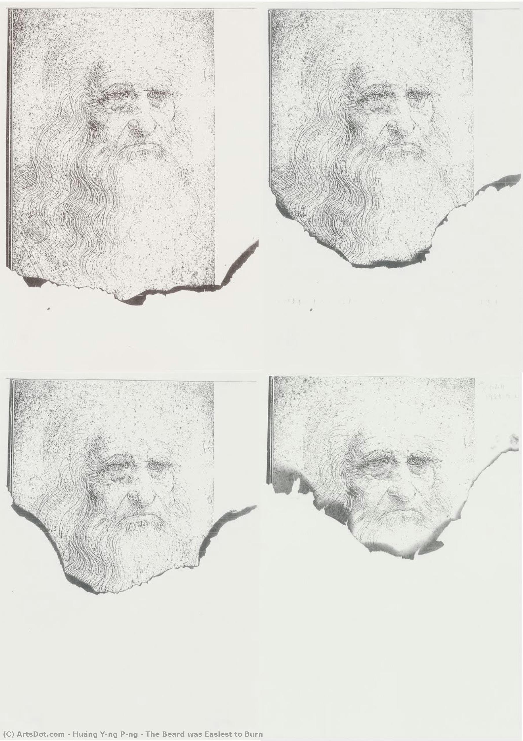 The Beard Was Easiest To Burn — Huáng Yǒng Pīng