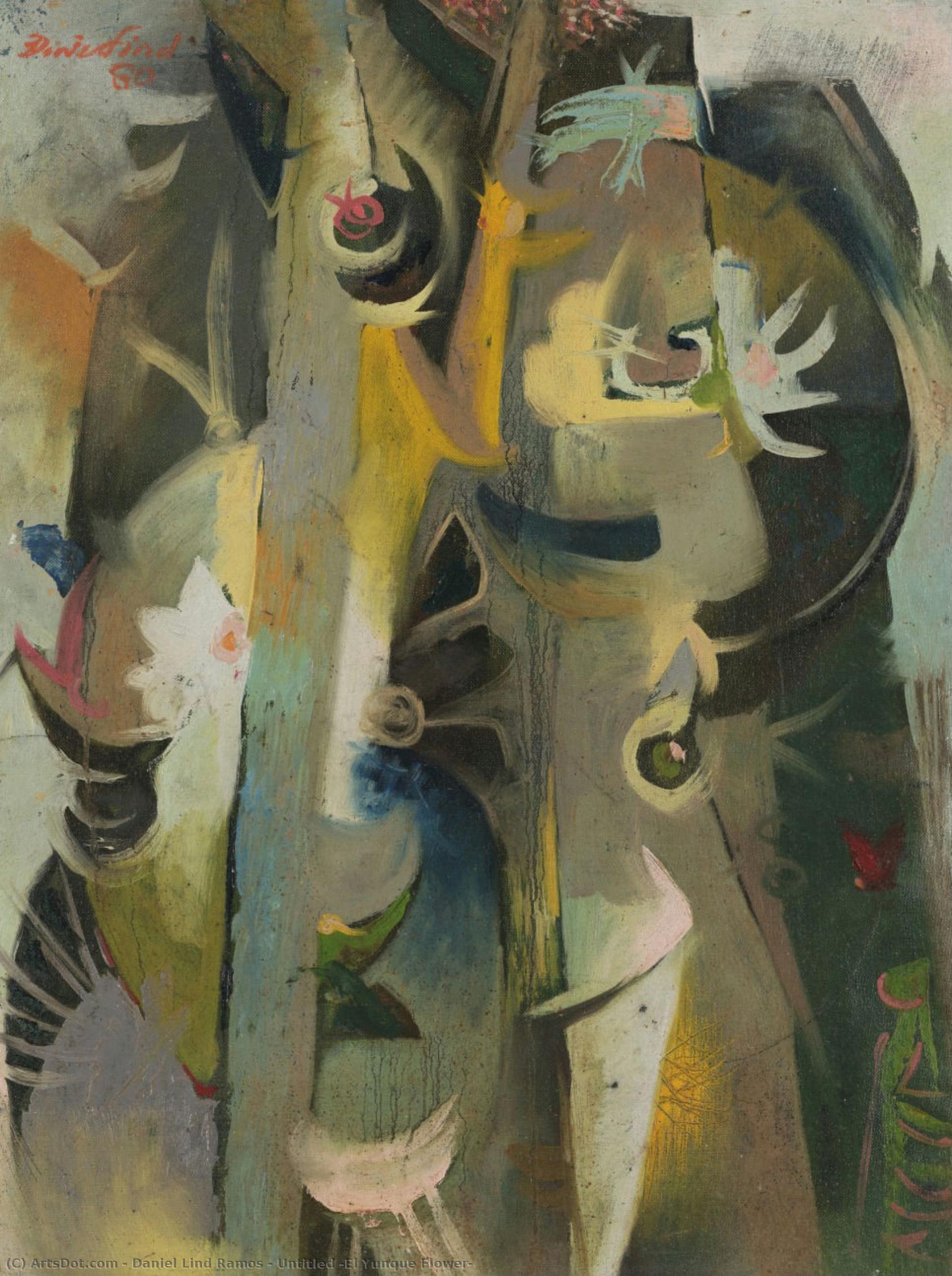 Untitled (el Yunque Flower) — Daniel Lind Ramos