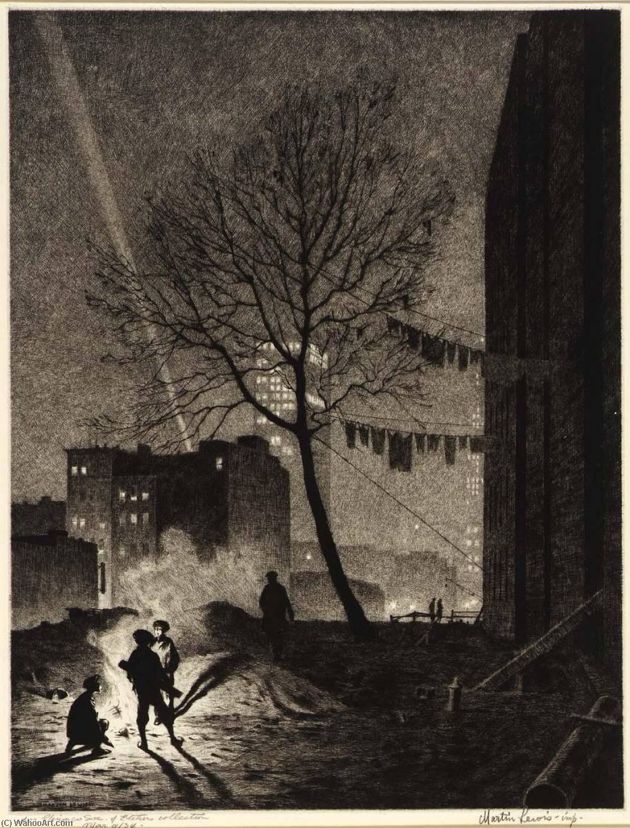 Tree, Manhattan — Martin Lewis