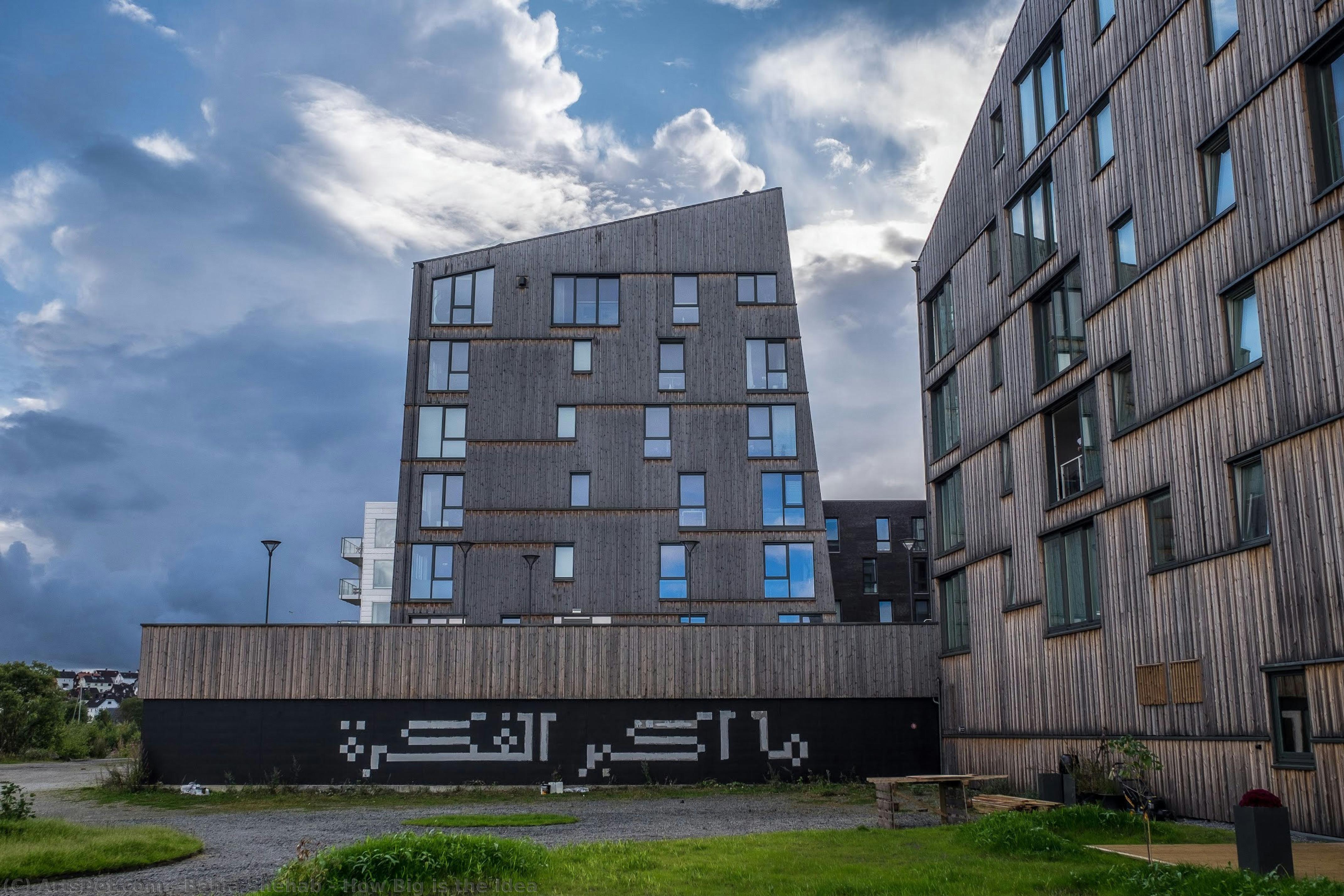 How Big Is The Idea — Bahia Shehab