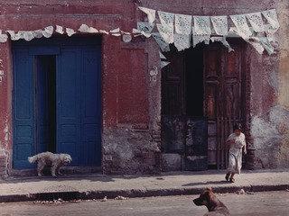 Untitled — Manuel Álvarez Bravo