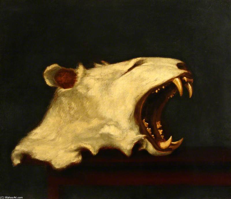 Head Of An Albino Tiger — Robert Home