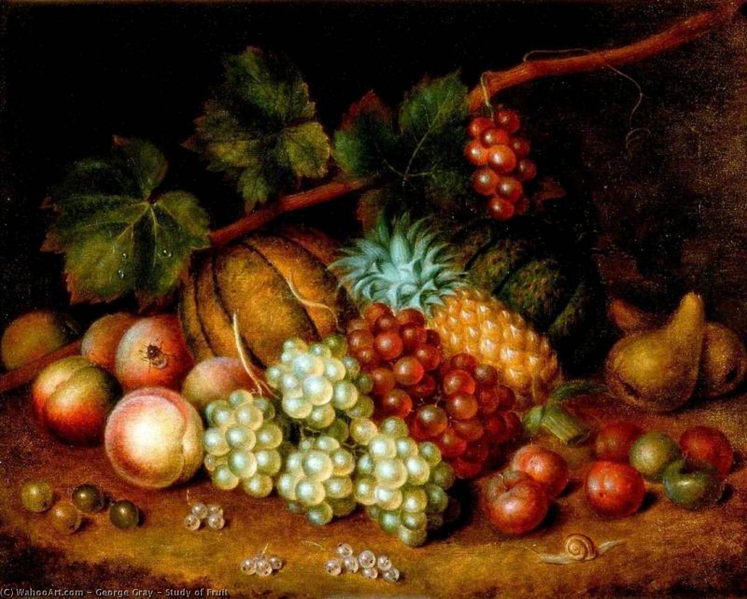 Study Of Fruit — George Gray