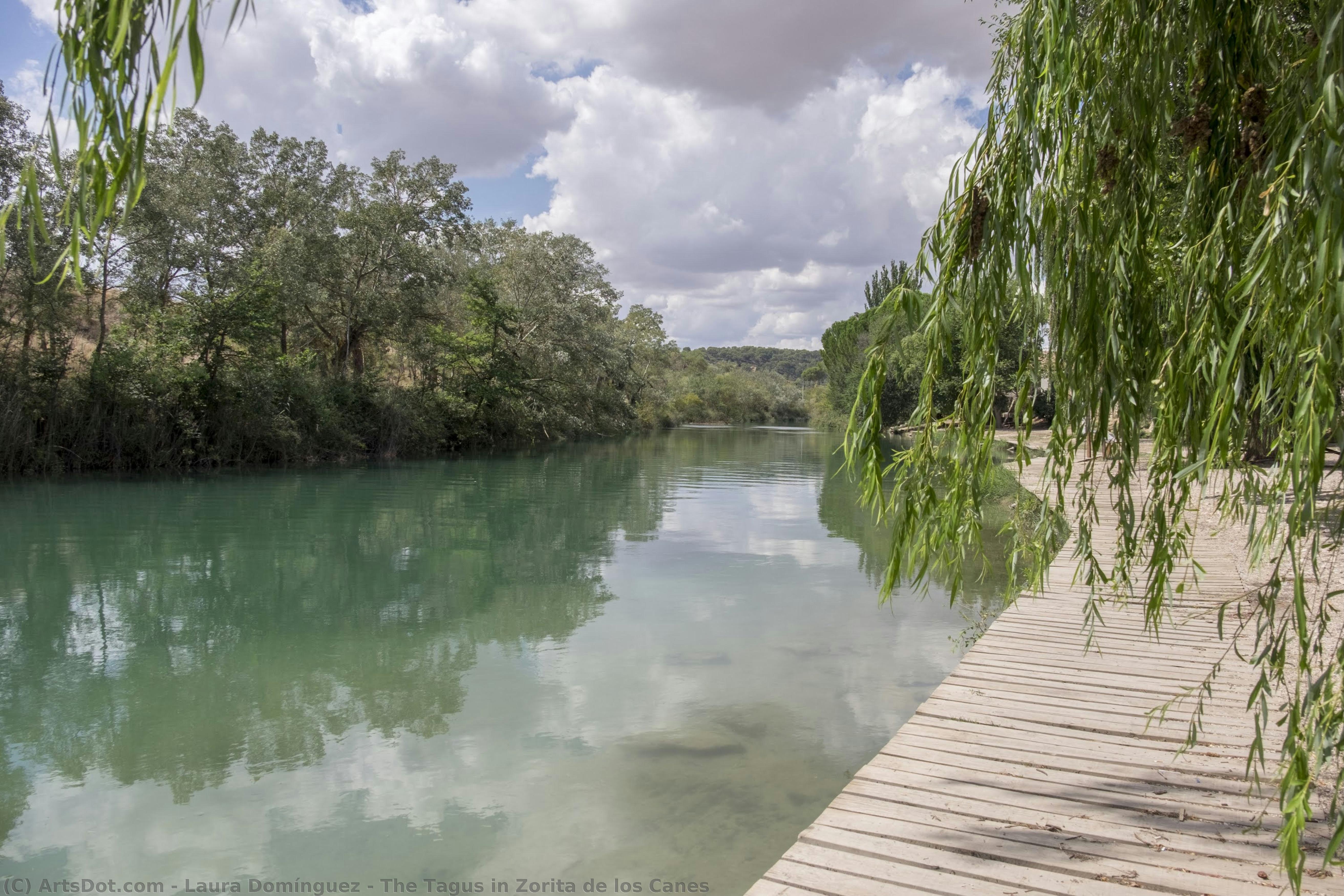 The Tagus In Zorita De Los Canes — Laura Domínguez